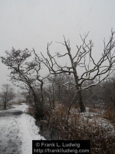 Winter at Doorly Park